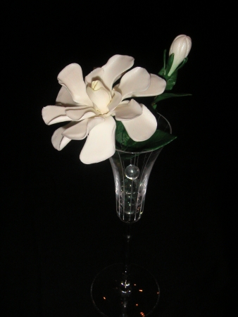 Sugar Gardenia